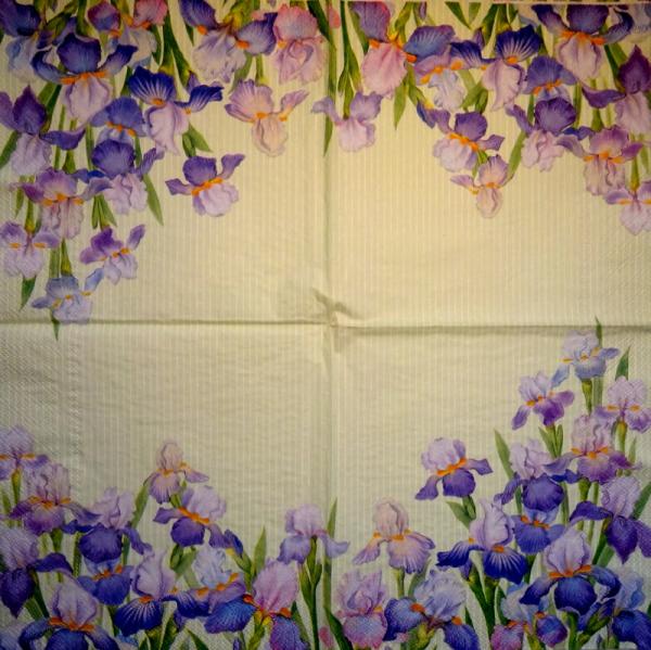 100 Lilien - 3-lagig - Ihr